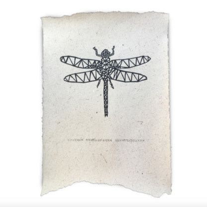 Dragonfly Poster Organic Paper Pulp and Upcycled Elephant Dung